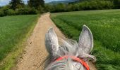 Trail Horseback riding Favières - Favieres mai 2024 yoigo kaline  - Photo 2