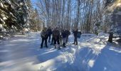 Trail Snowshoes Presles - la Goulandiere - Photo 2