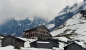 Trail On foot Grindelwald - First - Grosse Scheidegg (Höhenweg 2400) - Photo 6