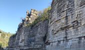 Tocht Stappen Berrias-et-Casteljau - Gorges du Chassezac - Photo 5