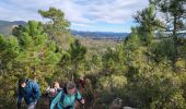 Tour Wandern Mandelieu-la-Napoule - 