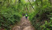 Trail Walking Nainville-les-Roches - La foret des grands avaux - Photo 6