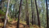 Randonnée Marche Génolhac - Vallée de l'Homol - Photo 6