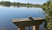 Tocht Stappen Mézières-en-Brenne - Mézières - Domaine de Bellebouche - Photo 1