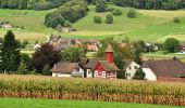 Percorso A piedi Oberweningen - Oberweningen - Lägernweid - Photo 4