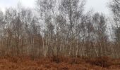 Tour Wandern Chaudfontaine - autour de la Béole - Photo 13