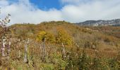 Trail Walking Saint-Jean-de-Chevelu - sr jean de chevelu 2011 - Photo 1