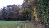Trail Walking Dury - balade de la belle épine  - Photo 9