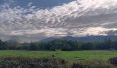 Tour Wandern Argelès-sur-Mer - en attendant mes pneus  - Photo 15