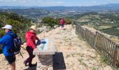 Tocht Stappen Ollioules - tour du gros cerveau  - Photo 2