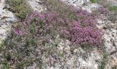 Trail Walking Baron - Baron avec St Chapte - Photo 1