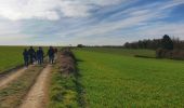 Trail Walking Walcourt - 5km autour de Walcourt - Photo 5