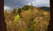 Tour Zu Fuß Hirschhorn - Rundwanderweg Rothenberg 5: Odenwald-Neckar-Runde - Photo 10