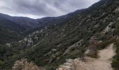 Trail Walking Laroque-des-Albères - Laroque-des-Albères . ballade de 2 fontaines  - Photo 14