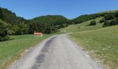 Randonnée Marche Châtillon-en-Diois - La Montagnette par le Pas de la Plane (Combau) - Photo 15