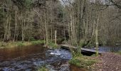 Tour Wandern Vielsalm - rando bihain 19-11-2023 - Photo 6