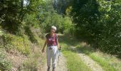 Trail Walking Amel - Herresbach  - Photo 5