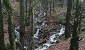 Tour Wandern Jalhay - pont de Belheid - Photo 10