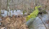 Tour Wandern Saint-Hubert - Arville 230323 - Photo 8