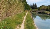 Tour Wandern Cheval-Blanc - la Canebière cricri - Photo 3