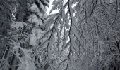 Randonnée Raquettes à neige Gerbépal - 20201230_12km_424m_ColMartimpré-ChaletPreux - Photo 2