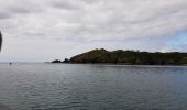 Randonnée Bateau à moteur West Cork - 190702Fastnet - Photo 6