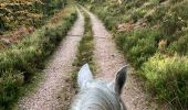 Tour Reiten Raon-l'Étape - Yoigo kalio la chipotte étang de saint-rémy - Photo 2