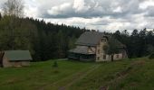 Tocht Stappen Walscheid - Elsassblick,Refuge des Bûcherons, Altmatt,M.F. du Grossmann  - Photo 6