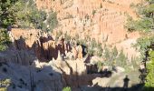 Percorso Marcia Unknown - 2024 Bryce Canyon Rim Trail - Photo 13