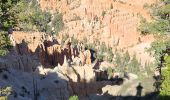 Tocht Stappen Unknown - 2024 Bryce Canyon Rim Trail - Photo 13