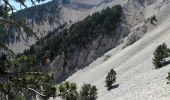 Trail Walking Beaumont-du-Ventoux - ventoux par les cretes - Photo 9