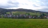 Tour Zu Fuß Fischbachtal - Rundwanderweg Fischbachtal 3 : Nonrod Weg - Photo 3