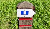 Tour Wandern Incourt - Promenade du Tumulus (6,1km)  - Photo 15