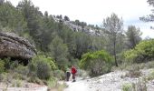 Tocht Stappen Ceyreste - Ceyreste, cabane du marquis, vallon des conquêtes. - Photo 6