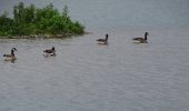 Tour Wandern Pérignat-sur-Allier - Pérignat-sur-allier - Photo 2