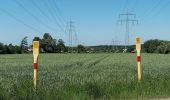 Tour Zu Fuß Castrop-Rauxel - Naturpfad Langeloh - Photo 6