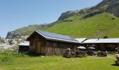 Tour Wandern Sixt-Fer-à-Cheval - Parking du Lignon-Refuge de Sales - Photo 3