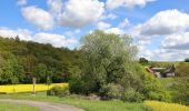 Trail On foot Igersheim - Rundwanderweg Igersheim 56 - Photo 3