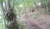 Trail Walking Pepinster - pepinster . drolenval . hoduinry . goffontaine . trou renard.  fraity . mazures . mousset . pepinster - Photo 10