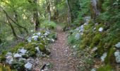 Trail Walking Veyrier-du-Lac - 74 Mt Veyrier 26.06.23 - Photo 9