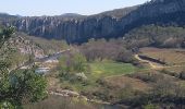 Randonnée Marche Berrias-et-Casteljau - Gorges du Chassezac - Photo 7