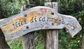 Excursión A pie Zafferana Etnea - Val Calanna - Photo 9