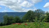 Tocht Stappen Basse-sur-le-Rupt - petit circuit sous Burotte - Photo 1