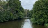 Trail Walking Arcy-sur-Cure - Arcy sur cure - Boucle des grottes - Photo 3