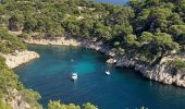 Tocht Stappen Cassis - calanques a cassis q - Photo 5