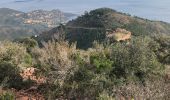 Tour Wandern Saint-Raphaël - Les grues et le Mont St Martin depuis le col Notre Dame - Photo 1