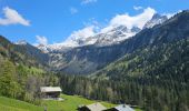 Tour Mountainbike Le Grand-Bornand - Balcon des Aravis - Photo 6