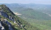 Tocht Stappen La Roquebrussanne - La Roque La loube Col de la barraque les orris - Photo 11