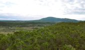 Trail Walking Montbrun-des-Corbières - MONTBRUN DES CORBIERES rocher du renard - Photo 3