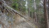 Trail Walking Chamonix-Mont-Blanc - aller/retour La Floria Chamonix  - Photo 2